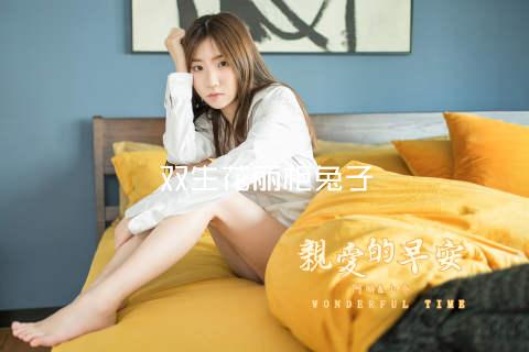 双生花丽柜兔子